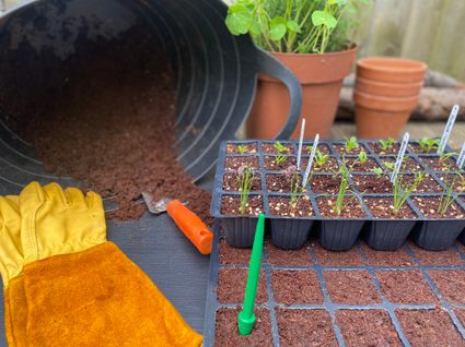 Mindful Roots family planting workshop