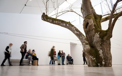 Visitors in the south gallery looking at a large tree installation by Anya Gallaccio.