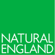 NE logo